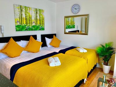 London Studio Apartments, Private Bathroom, Kitchenette, Parking, NP6