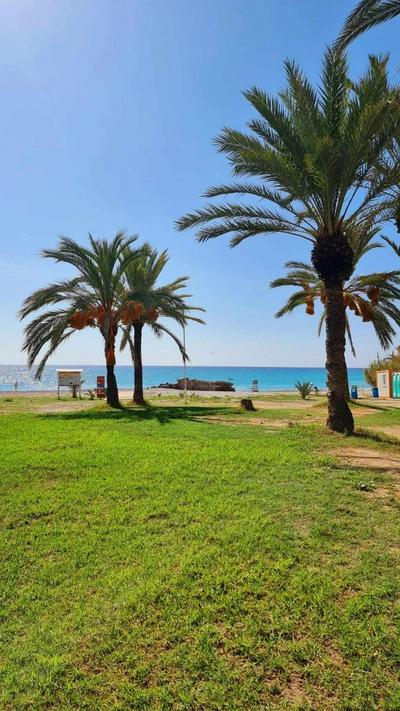 Sol Mediterráneo - Palm Beach 4