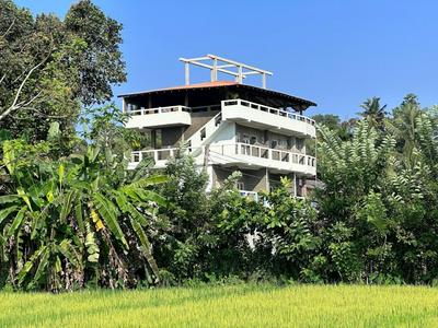 Idyllic place in the jungle