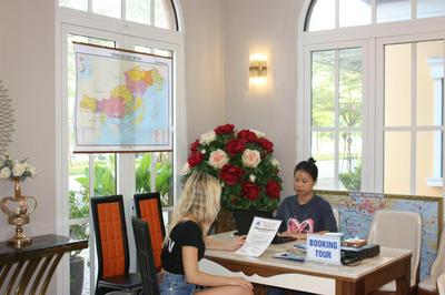 Huong Duong Sunflower