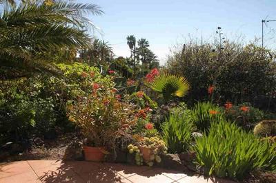 Casita las Pincoras