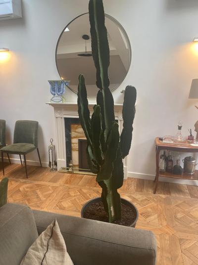 Sant Ambroeus Apartments