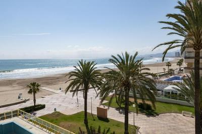 Florazar 3, 3-C
