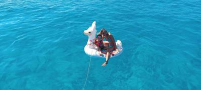 One day Sailing Tour San Teodoro Sardinia