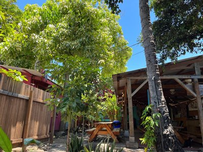 Banana Bungalow Maui Hostel, a hotel in Wailuku, Hawaii