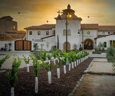 Vineyard Chic Oasis: Modern Elegance near Temecula Wineries