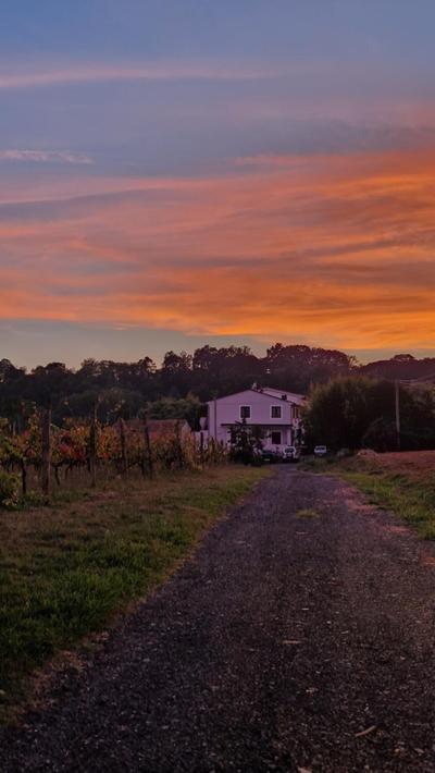 La casa nella vigna [colline del vino]