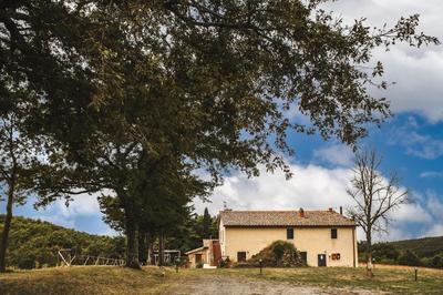 Masseria del Bosco - Podere Poderuccio