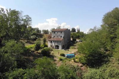 Appartamento con piscina e giardino - Olivo