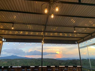 Rừng Phố Homestay And Coffee