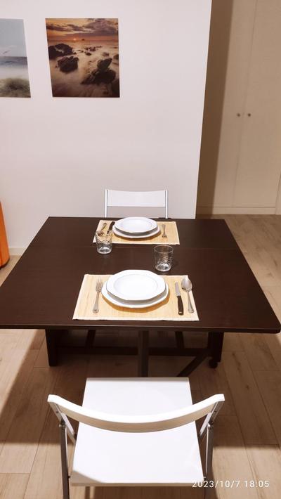 mono polis apartment