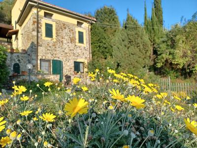 Il Fontolo