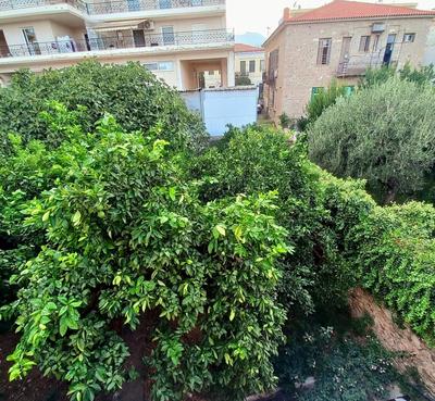 Zeta's vintage garden house