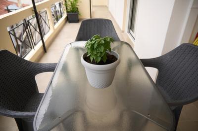 Georgia's Comfort City Center apartment