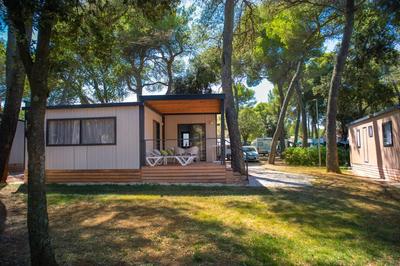 Arena Stoja Camping Homes