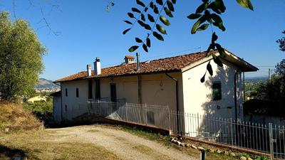 Da Poldino