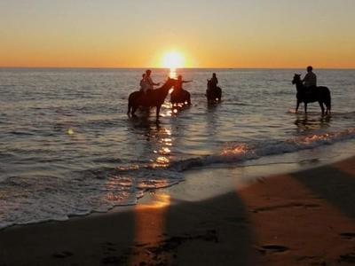 Mediterraneo Travel