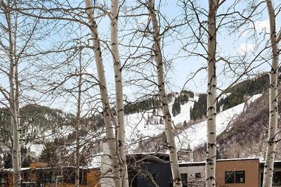 Timber Ridge Unit 3E