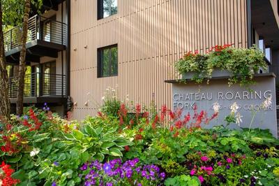 Chateau Roaring Fork Unit 37, Spacious Condo, Close to Downtown. Pool, Hot Tub, Fitness Center