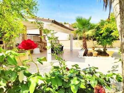 Villa Miranda con ampio giardino