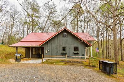 Spacious 12-Person Luxury Cabin at Critter Retreat