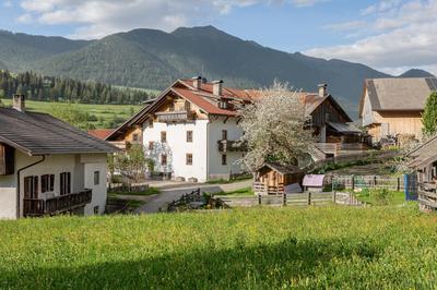 Schusterhof - Urlaub auf dem Bauernhof