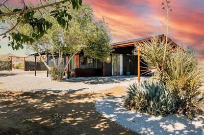 Black Moon Ranch - Flamingo Heights