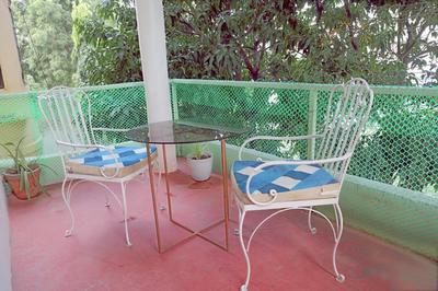 Hotel Tree of heaven