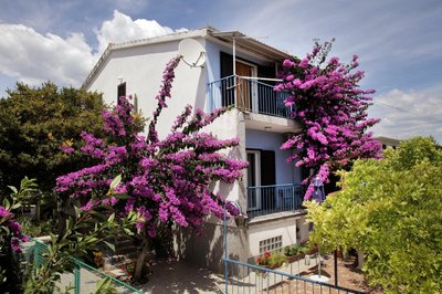 Apartments Irena