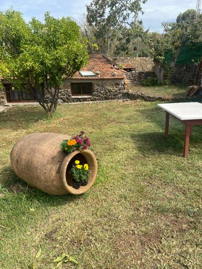 Rural House to take a Break, La Serreria 25 - Private garden