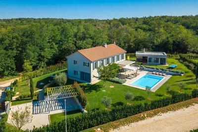 Luxury villa Povetica with pool in Vizinada