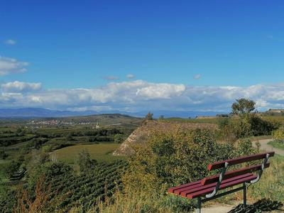 Hotel-Restaurant Rebstock