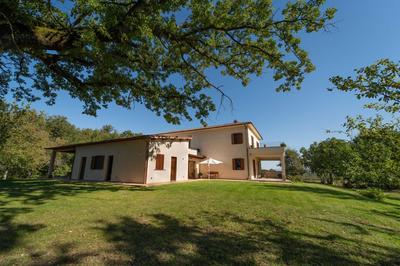 Poggio delle Ginestre