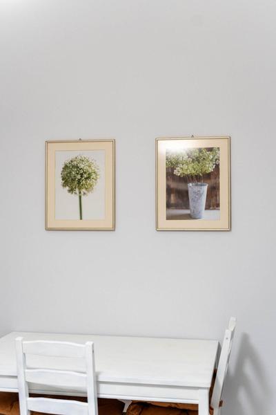 Angelica apartment
