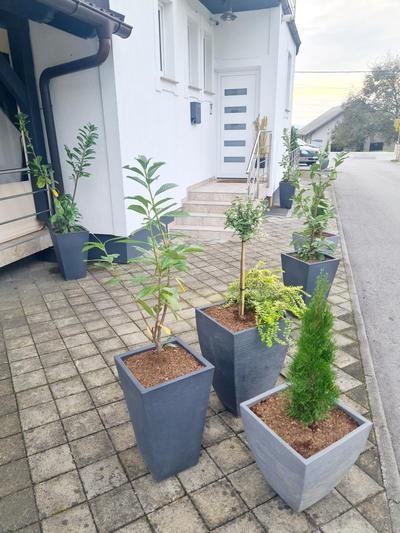 Zaprešić apartmani i sobe