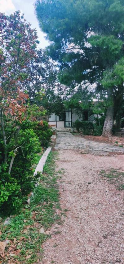 Angeliki's Villa