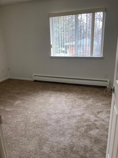 Looking for a roommate