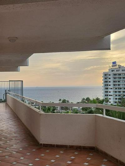 Paraiso Ponderosa, lovely estudio las americas