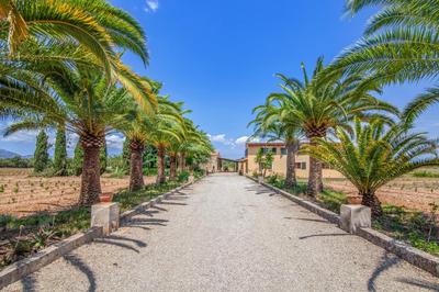 Finca La Preciosa