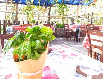 Agriturismo il Pettirosso