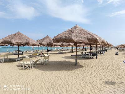 Bridge's House - a 50 mt dalla spiaggia e da tutti i servizi!