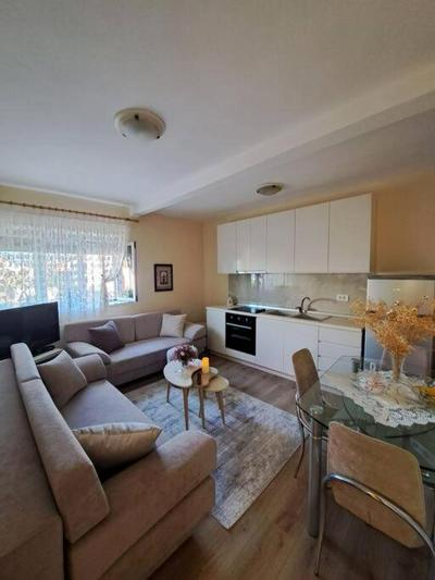 Quiet, Cozy, Luminous Apartment