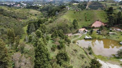 Los Lagos de Jasú
