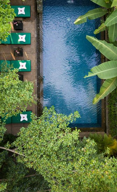 The Community - Siem Reap