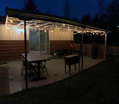 Hidden Gem! Spacious, Private, and Convenient Units Off River Road in Puyallup