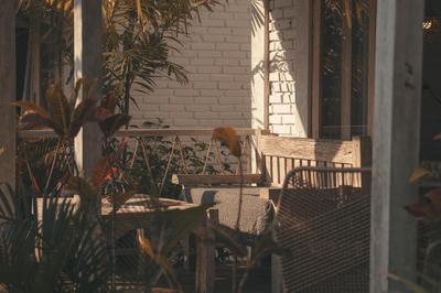 CARI Surf Camp & Studio's