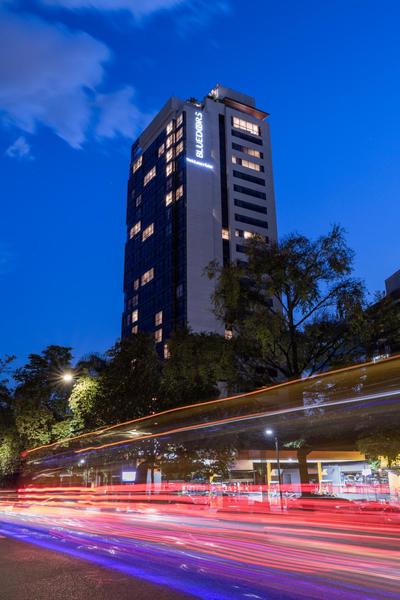 York Medellin, Curio Collection by Hilton