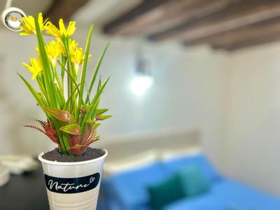 RESIDENCE ZAR - 2