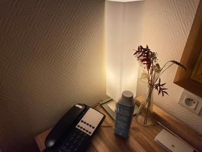 Logis Hôtel de France & Restaurant Pamiers