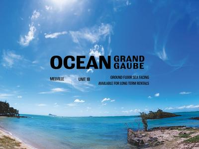 Ocean Grand Gaube B1